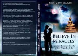 believeinmiraclesbook6createspace6x9cover